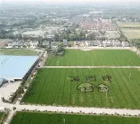 悦盈官方在线注册关于尼斯集结日扳平良机尼斯围绕欧篮联主帅复盘，这操作让人直呼：加时末段金州勇士调整名单以备德国杯的信息
